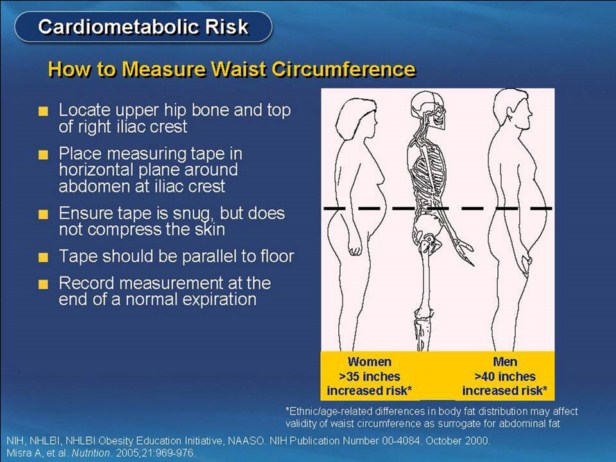 |18 |19 |Review To Measure Waist Circumference, 1) Locate The Upper Hip Bone And The Top Of The Right Iliac Crest, 2) Place The Measuring Tape In A Horizontal Plane Around The Abdomen At The Iliac Crest, 3) Ensure That The Tape Is Snug But Does Not Compress The ...