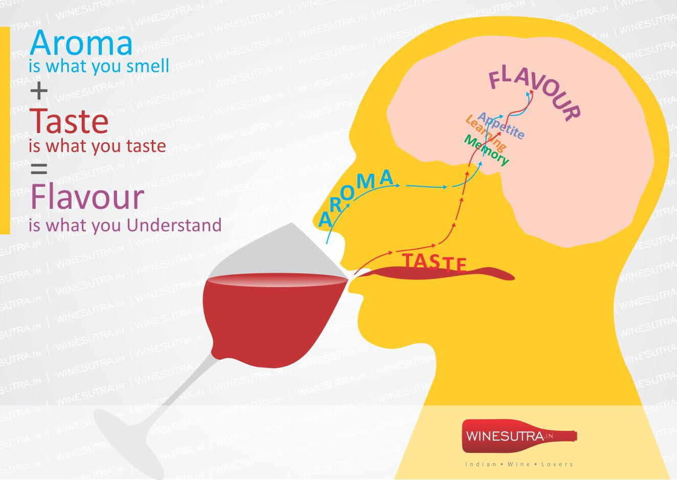 “Flavor” and “Taste” Gives you a different enjoyment of food Chiaki