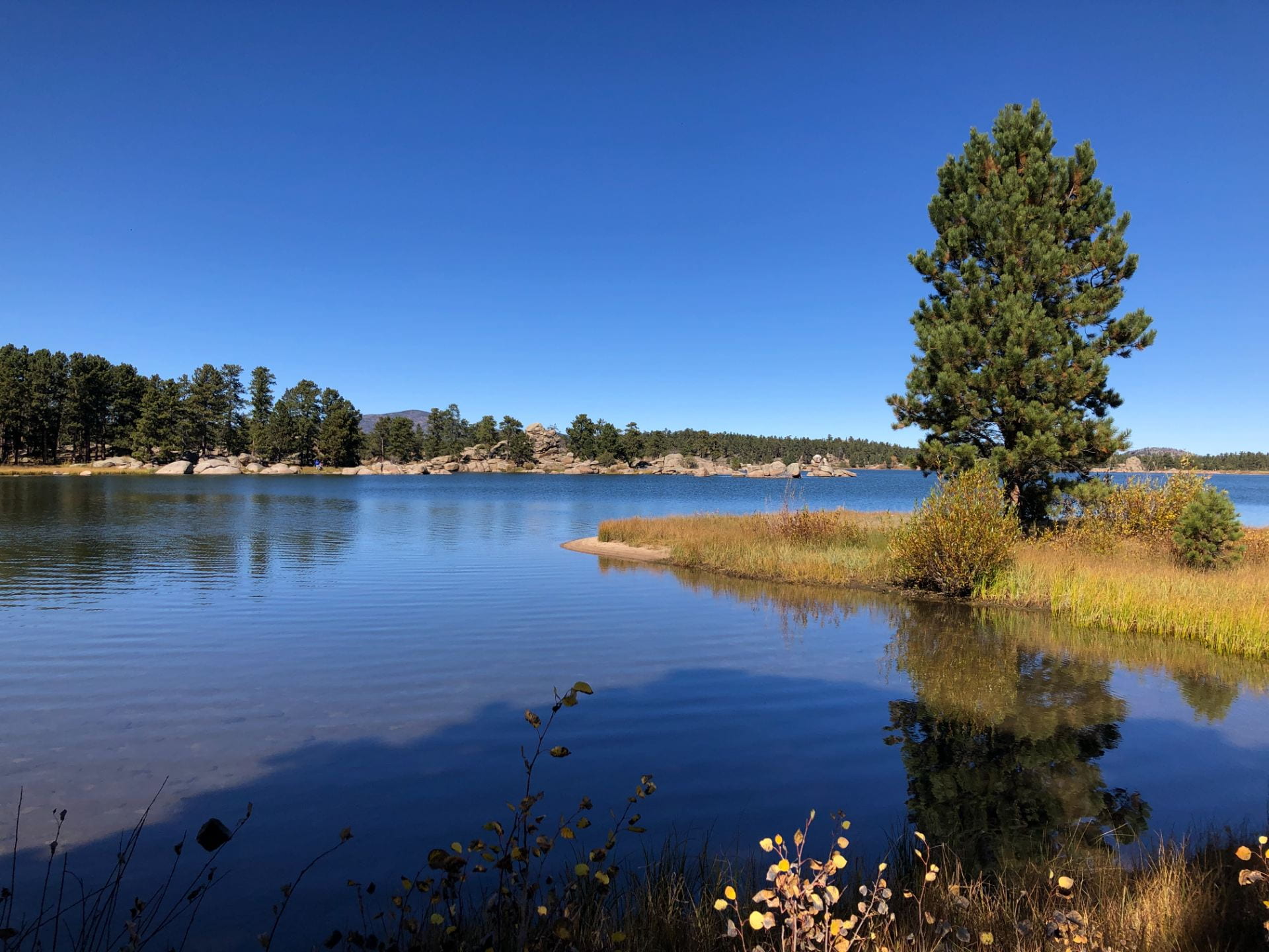 Signs of Fall 12 A Trip to Red Feather Lakes (Part 1)! Ecologist's