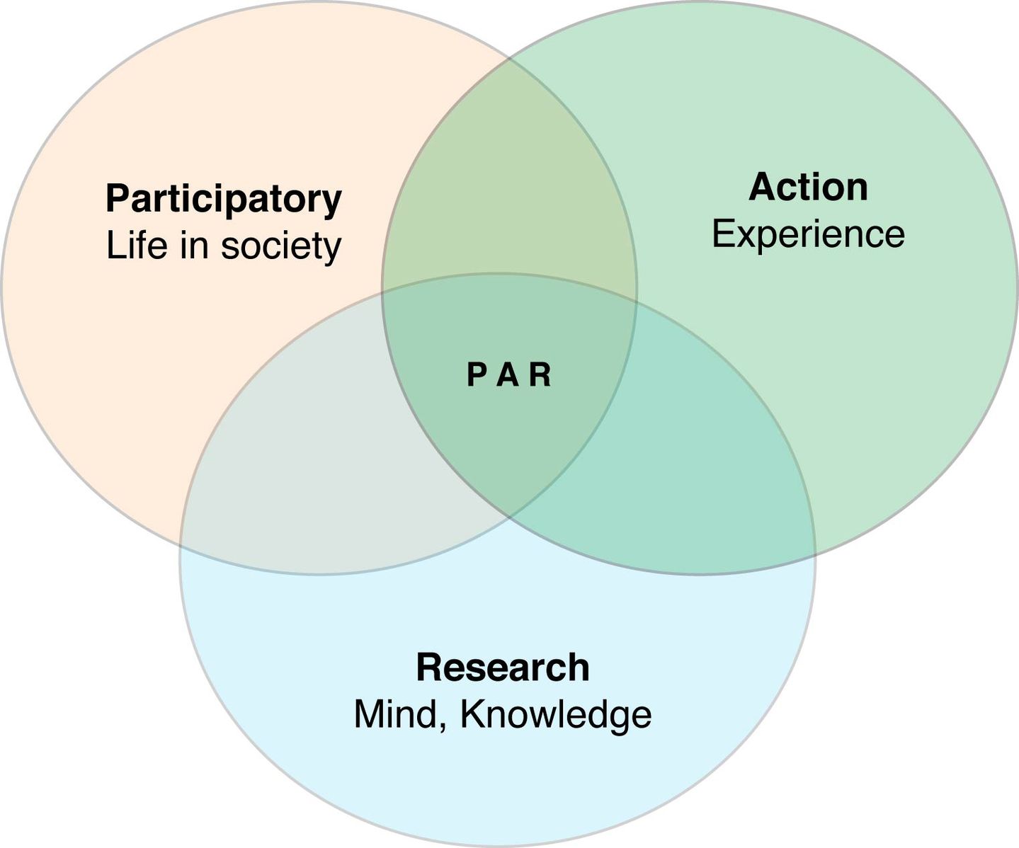 Partner with Instructional Technology to Research New Technologies