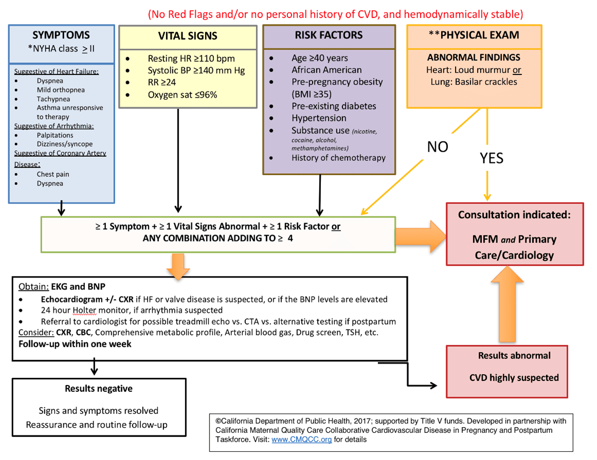Cardiovascular Risk Assessment Toolkit and Algorithm Cardiovascular