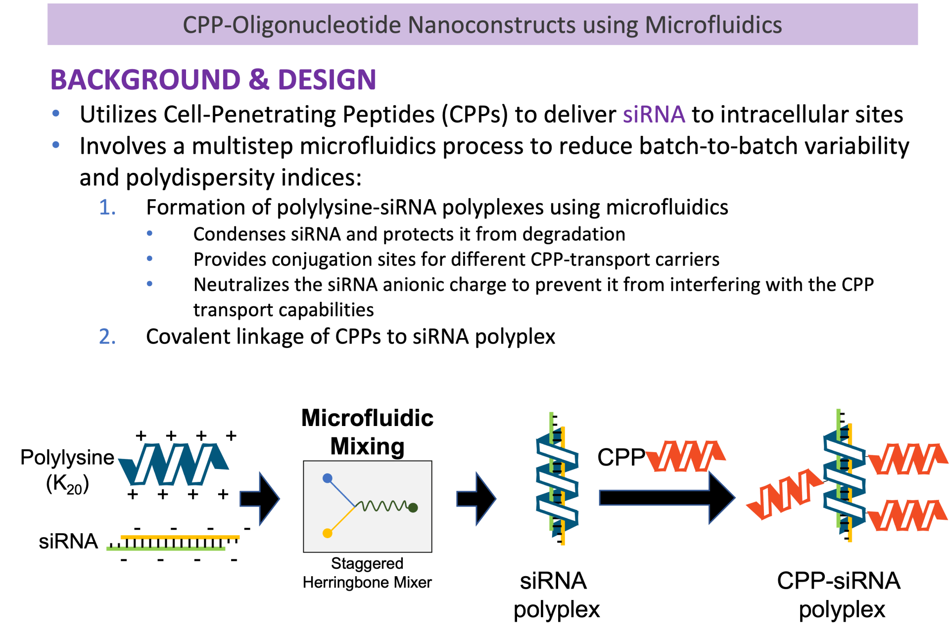 Design of CPPOligonucleotide Nanoconstructs using Microfluidics ZARO LAB