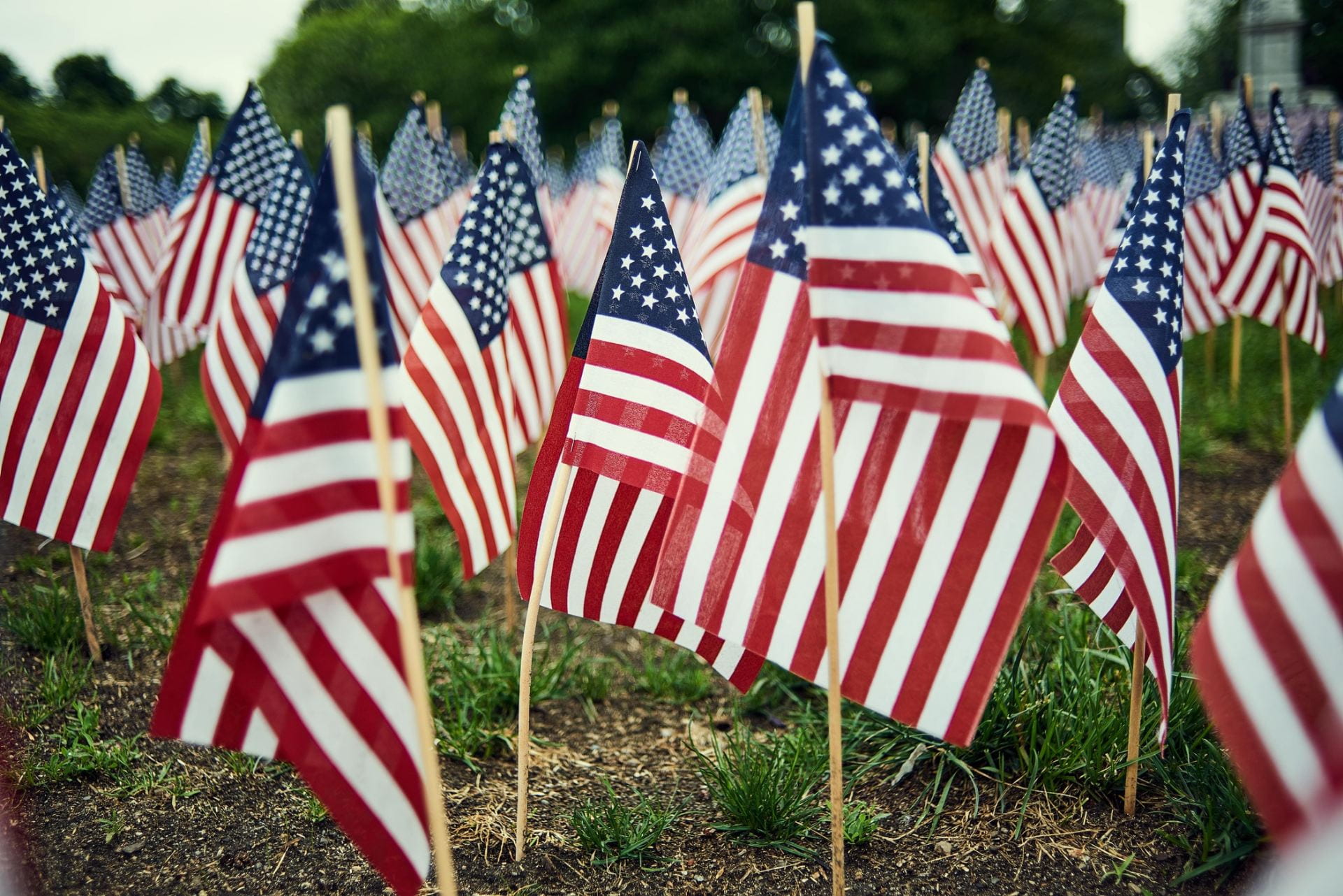 In Recognition of Memorial Day Five Stories from U.S. Veterans UW
