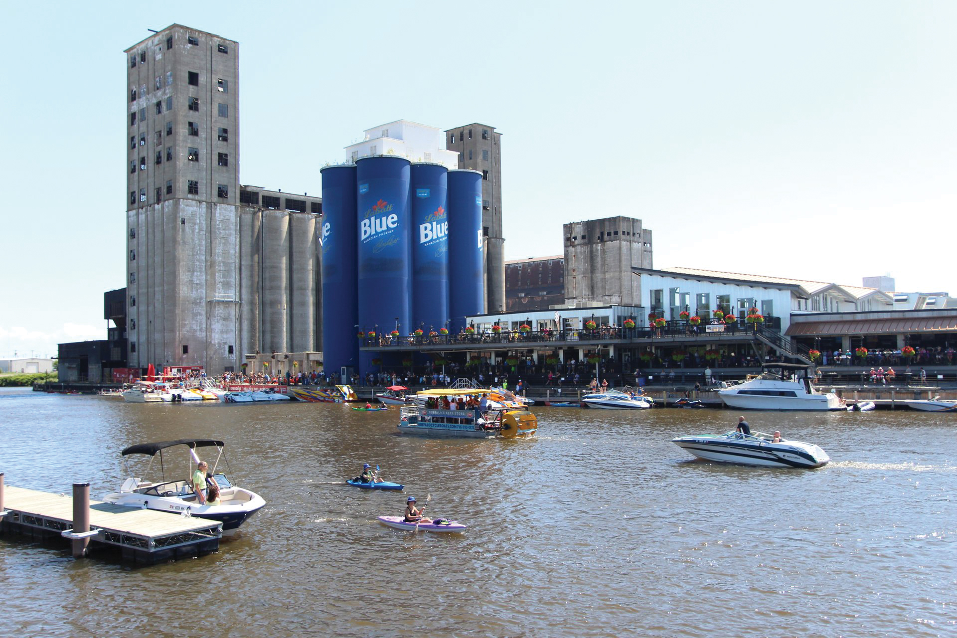 Online Insider Buffalo is Showing its True Colors Here’s a comeback