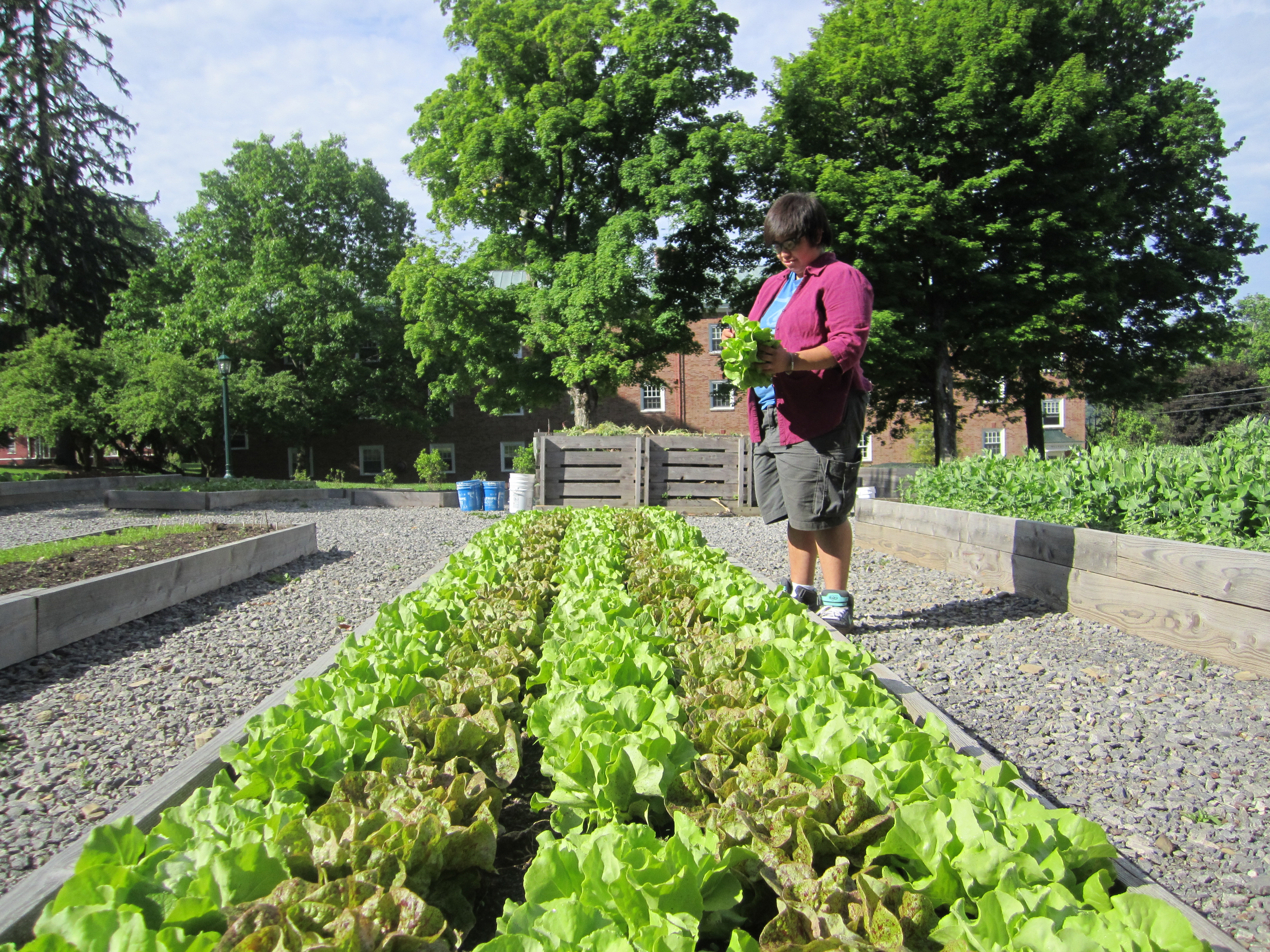 Carr Hall Garden Â« Environmental Science/Studies Allegheny College