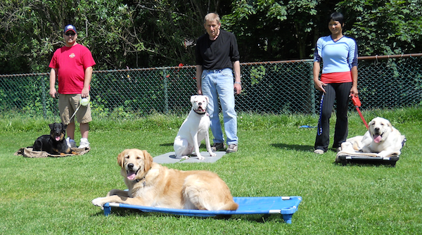 Charlie Sit Happens Dog Training