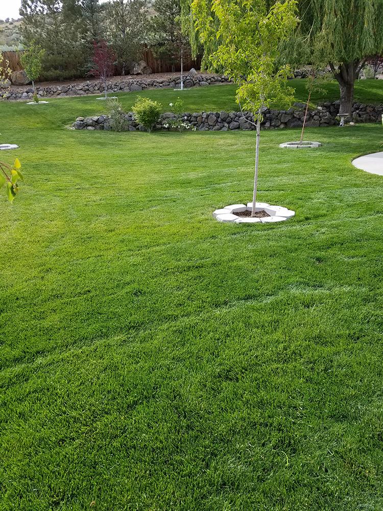 Lawn City landscaping service en Carson City, Nevada
