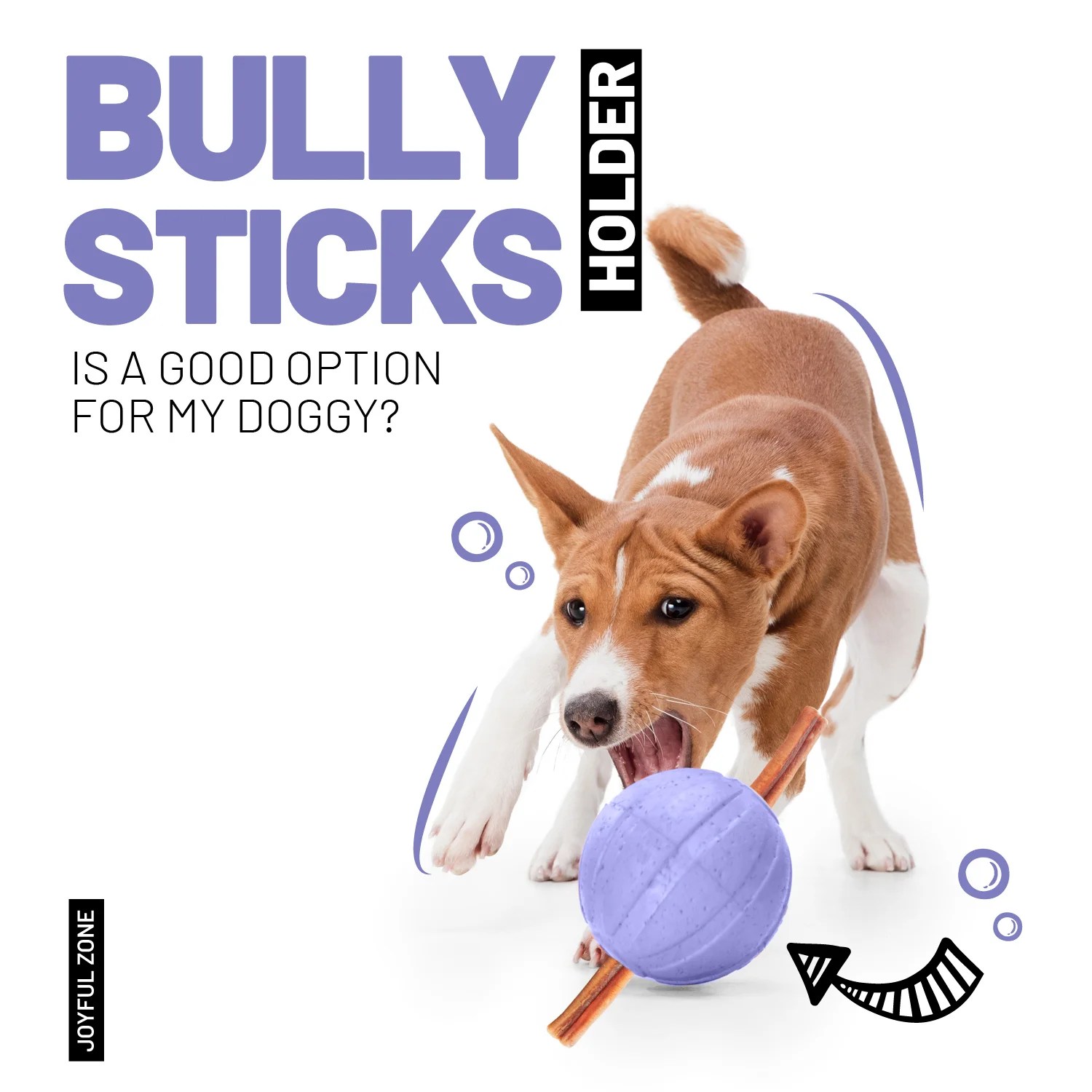 A Bully Stick Holder is a good option for my Doggy? Sitka Farms