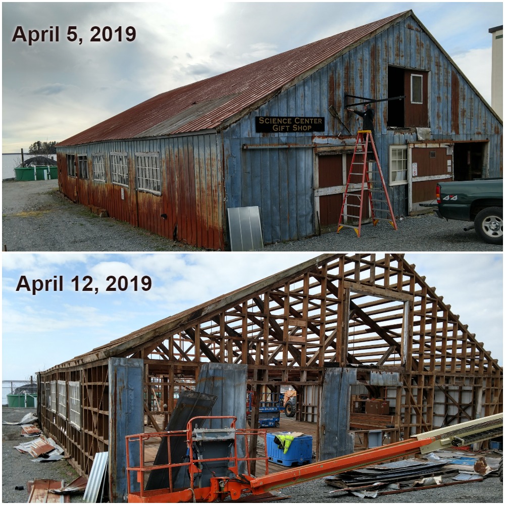 Mill Building Renovation Sitka Sound Science Center Sitka Sound