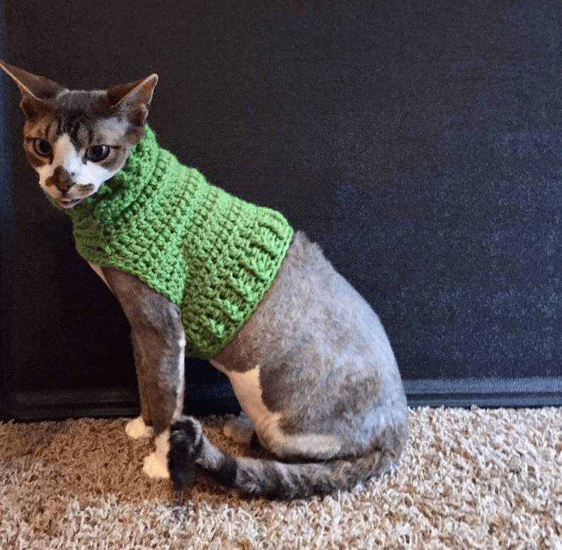 15 Crochet Cat Sweater ( SitnCrochet 2024