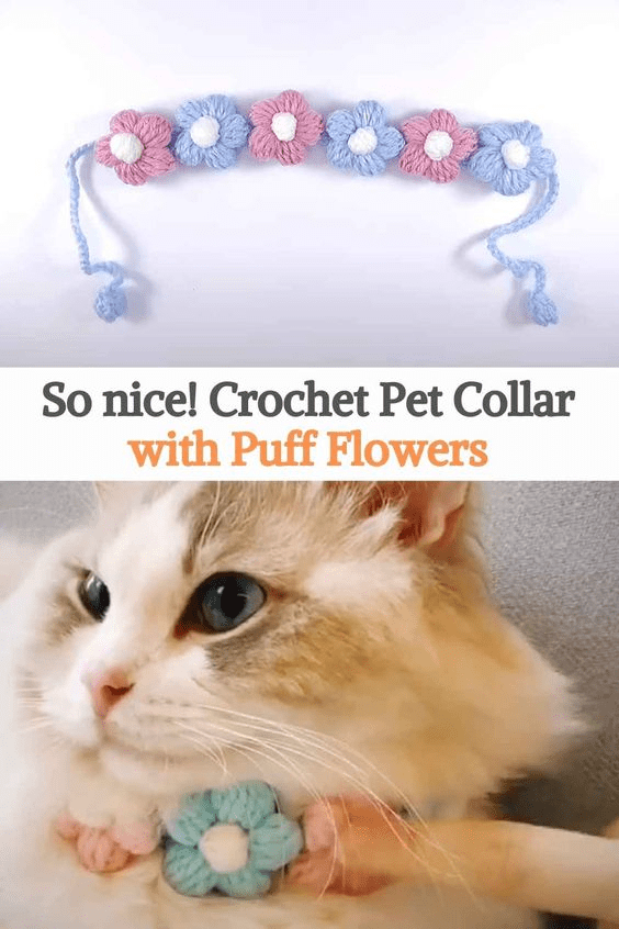 Crochet Cat Collar Pattern ( SitnCrochet 2024