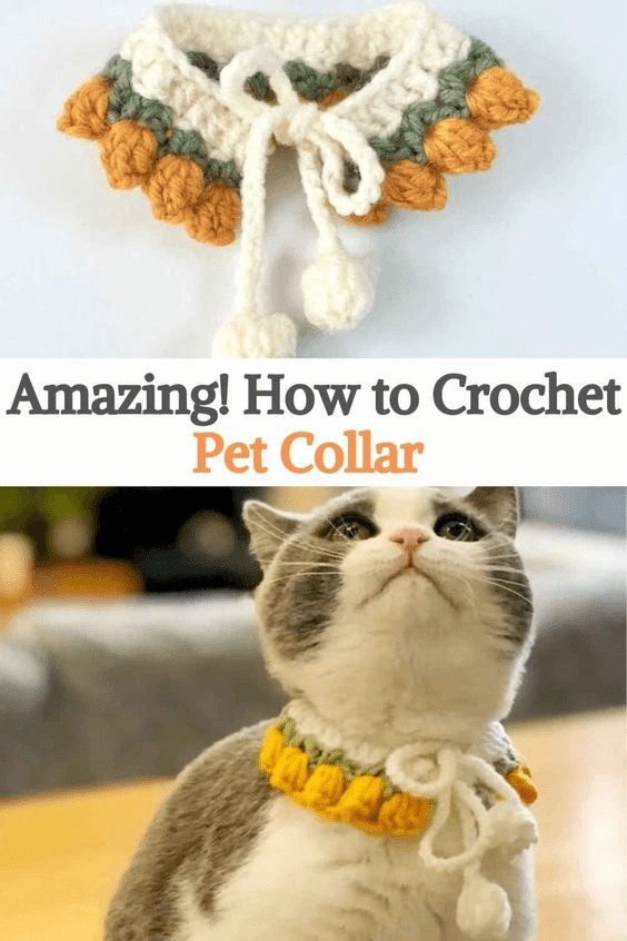 Crochet Cat Collar Pattern ( SitnCrochet 2024