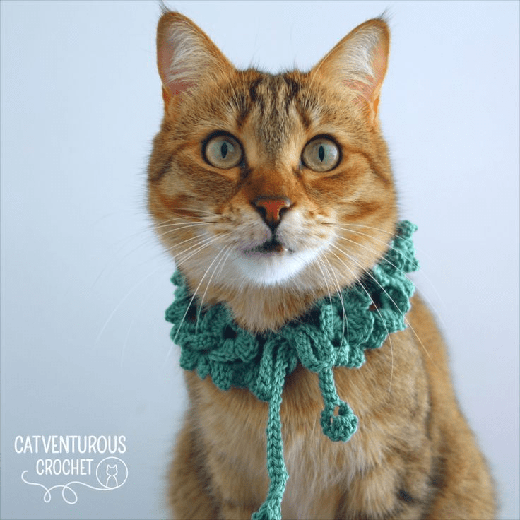 Crochet Cat Collar Pattern ( SitnCrochet 2024