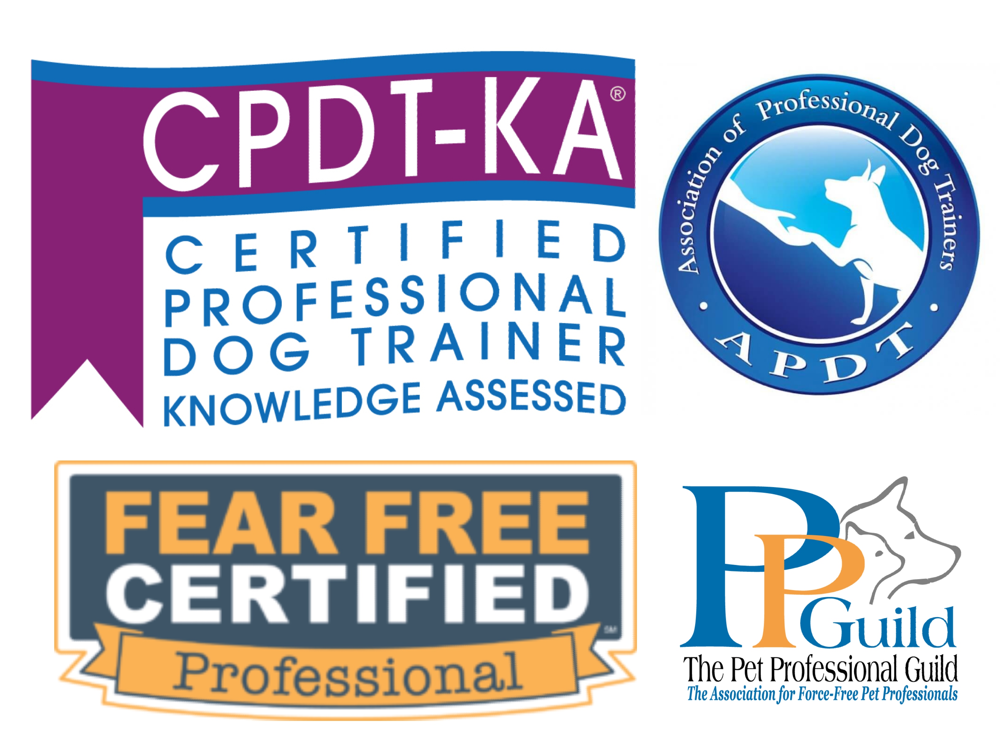 Sit Pretty Dog Training Boston Dog Training