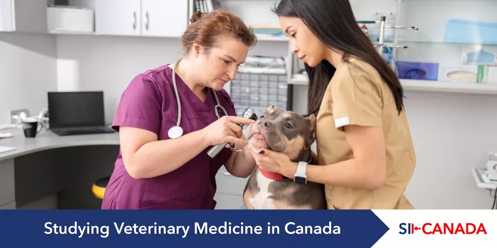Best Veterinary Medicine Universities in Canada