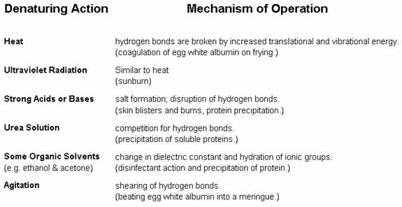 PEPTIDES AND PROTEINS