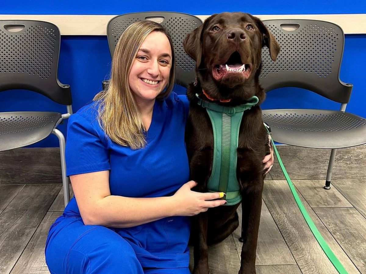 Veterinary Appointment In Staten Island, NY 10312 Pleasant Plains Animal Hospital