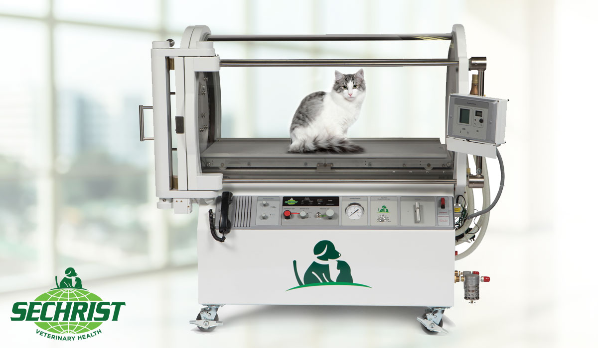 REDDOUDOU Puppy Nebulization Box, Kitten Nebuliser Box Pet Incubation