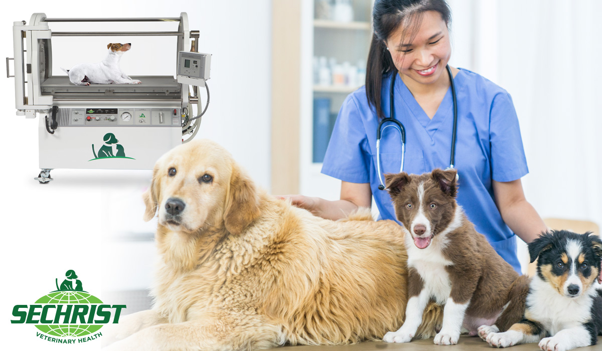 HBOT Chambers for Pets • Sechrist Hyperbaric Animal Chambers