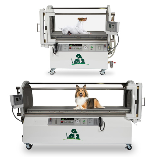 Oxygen Therapy for Veterinarians • Hyperbaric Animal Chambers Available