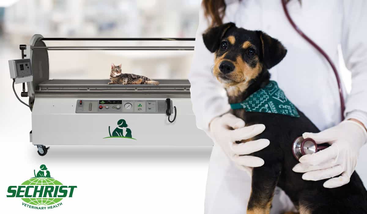 Hyperbaric Chamber Benefits • Order Veterinary HBOT Chambers