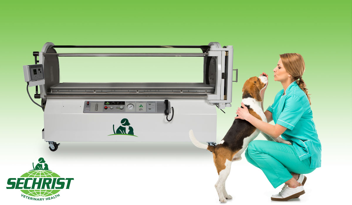 Veterinary Hyperbaric Chamber Installation • Offer Your Pet Patients HBOT