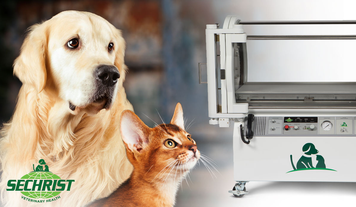 Veterinary Hyperbaric Oxygen Therapy • Postoperative Medicine for Pets