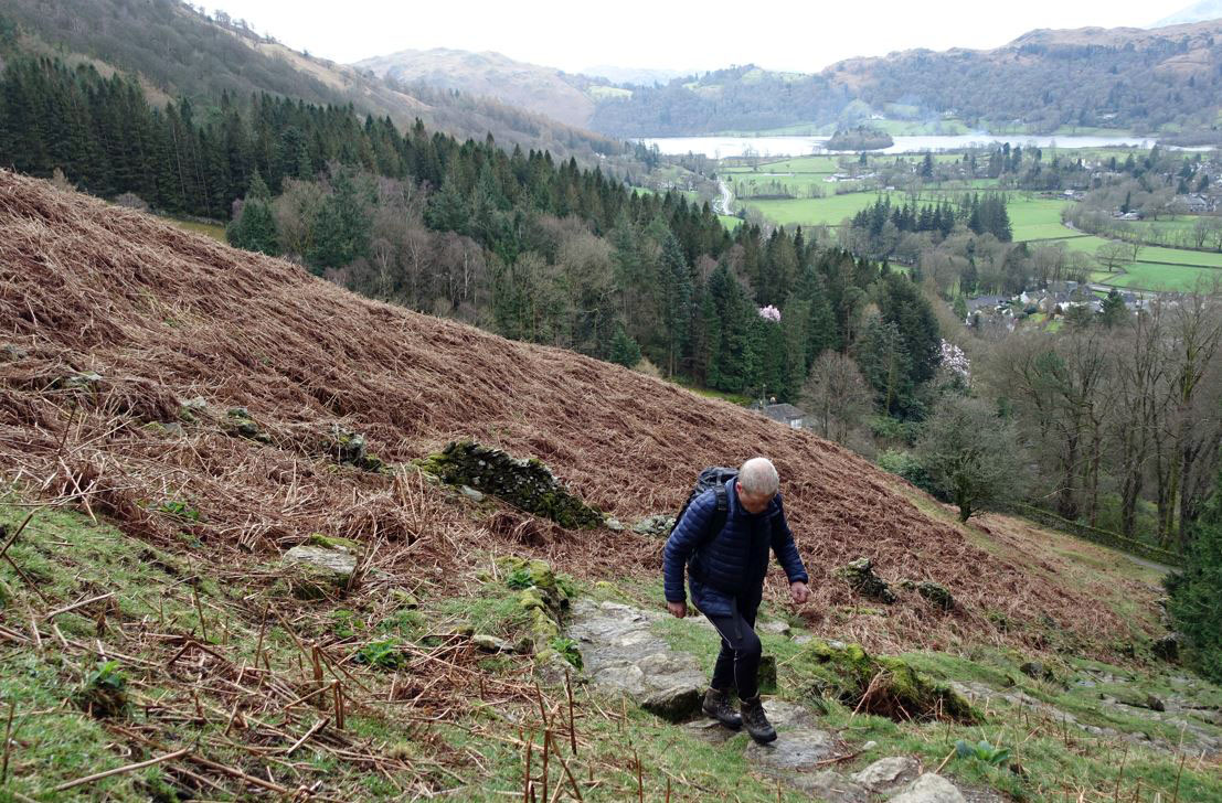 Climbing Wainwrights & Birketts, Stone Arthur, Great Rigg, Rydal Fell