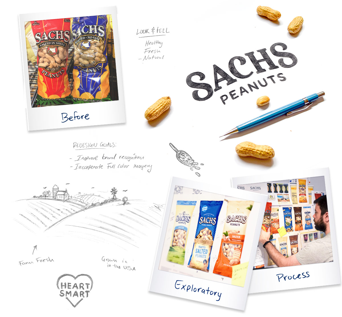 Sachs Peanuts SixAbove Studios