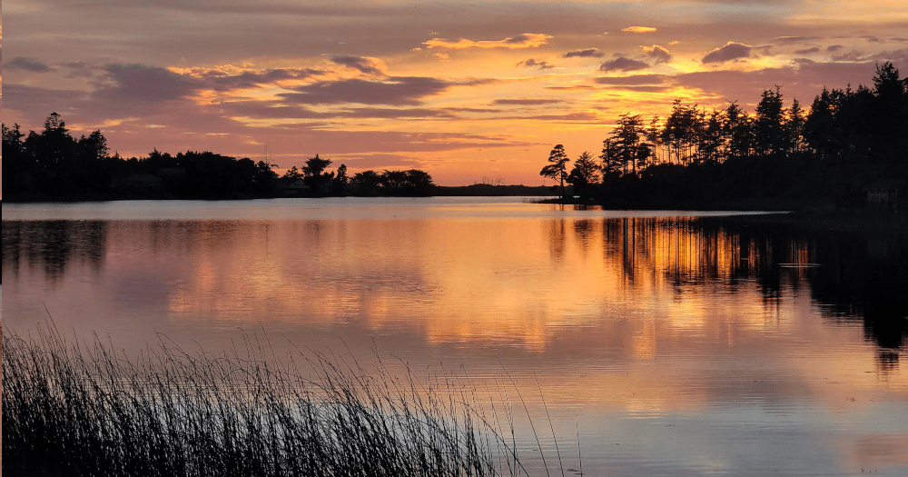 Norma Morrow, All Oregon Realty — Phone 5415510055