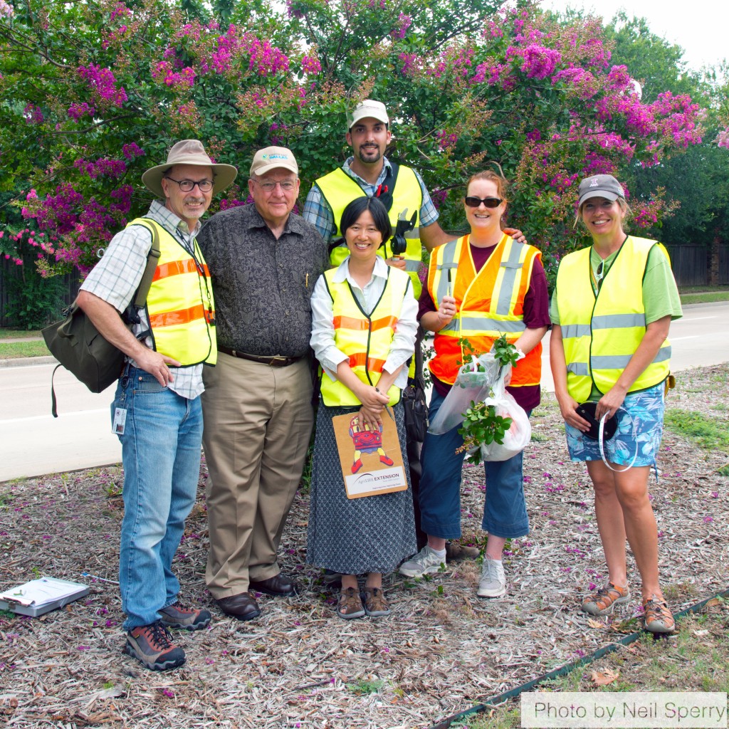 McKinney 2014 CMBS Team SixLegged Aggie