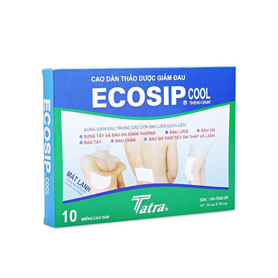 Ecosip Cool Pain Relieving Patch 10 Patches SIXMD Vietnamese