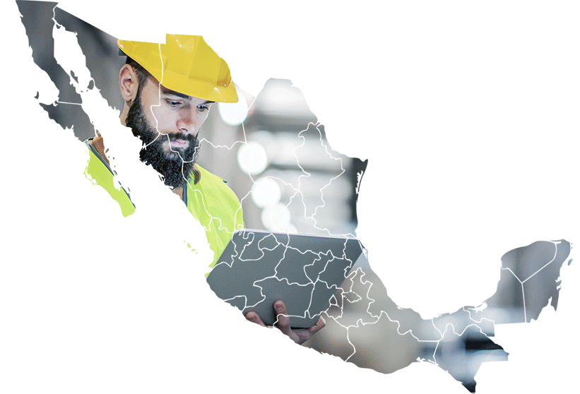 Mexican Supplier Identification Connect With Top Suppliers