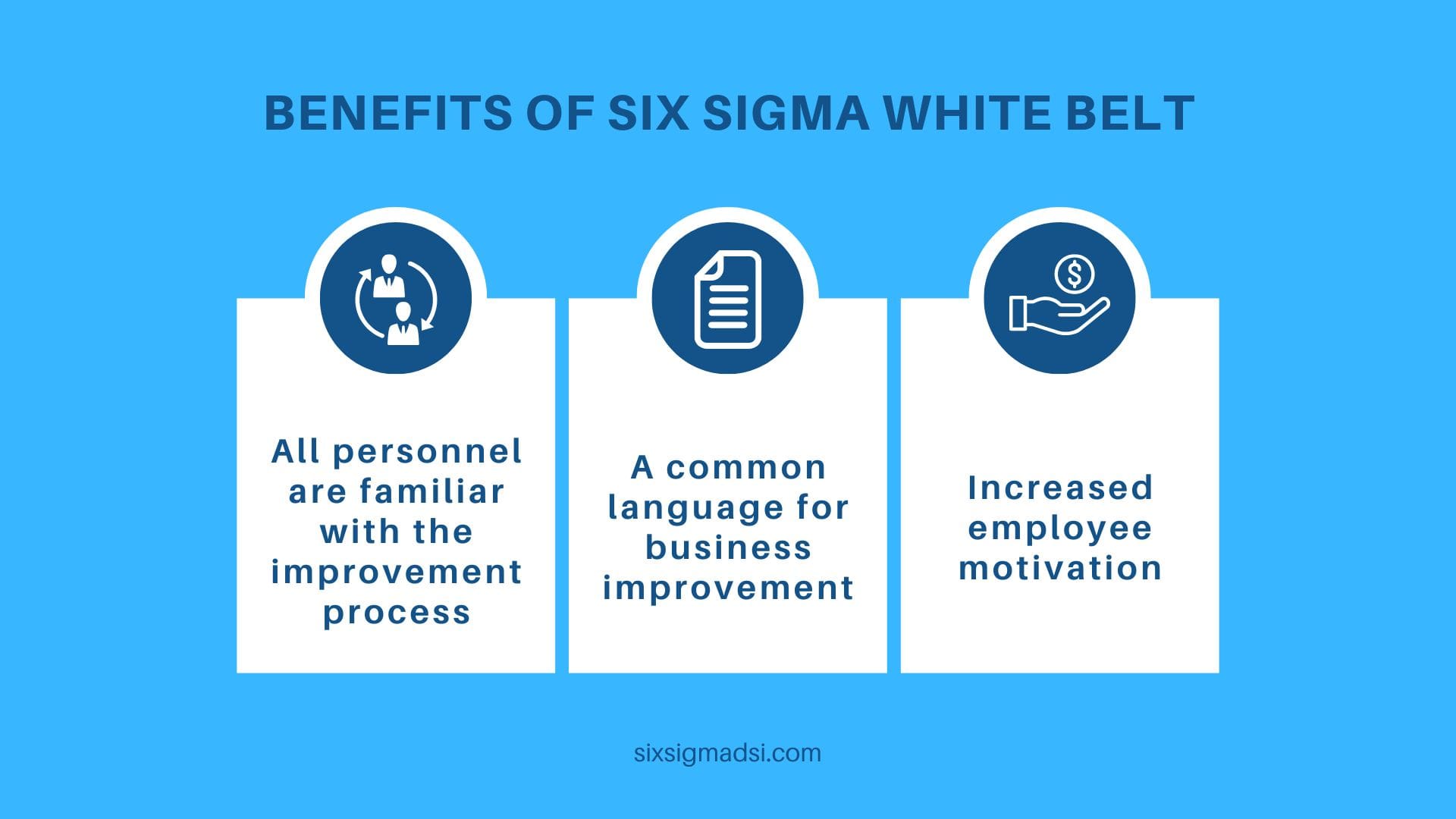 What is a Six Sigma White Belt?