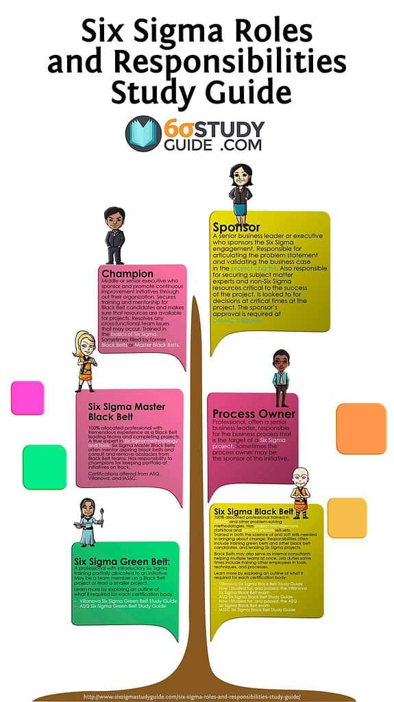 Six Sigma Roles and Responsibilities Graphic Six Sigma Study Guide