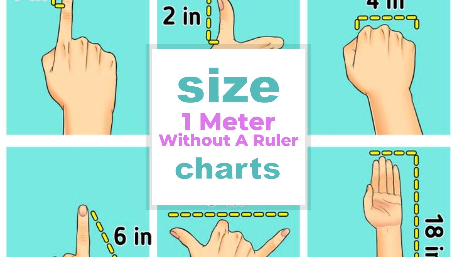 How To Measure 1 Meter Without A Ruler? When size matters