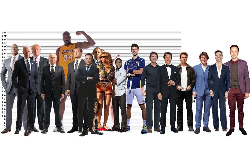 SizeAll compare Height chart (07 feet) vs Shaquille O'Neal vs Taylor