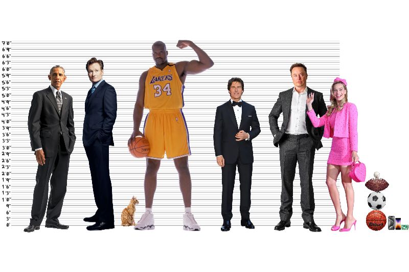 SizeAll compare Height chart (07 feet) vs Shaquille O'Neal vs Elon