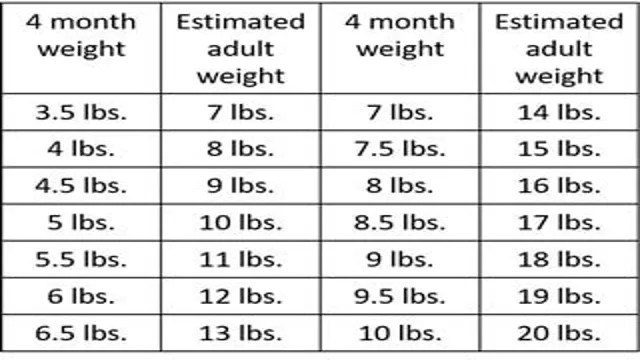 Grown Shih Tzu Size Chart – SizeChartly