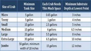 SizeChartly – Size & Conversion Charts Master