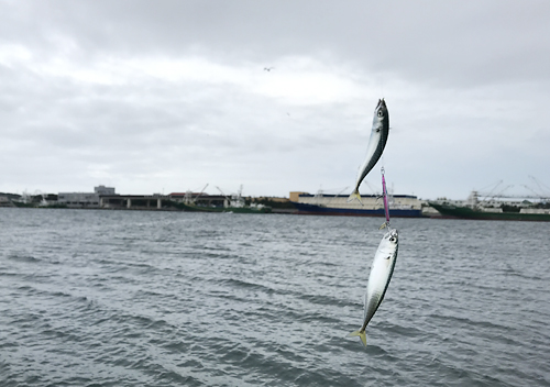 【釣り／波崎】7月・巨大港で青物狙い。あんまり釣れないので港の散策でも。 しぜんらぼ