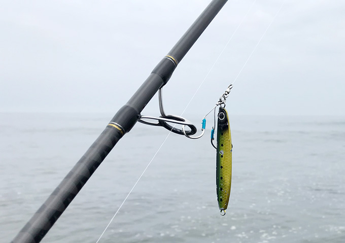 【釣り／九十九里】サビキのサバにヒラメがガブリ！！そして沖に鳥山、青物か！？ しぜんらぼ