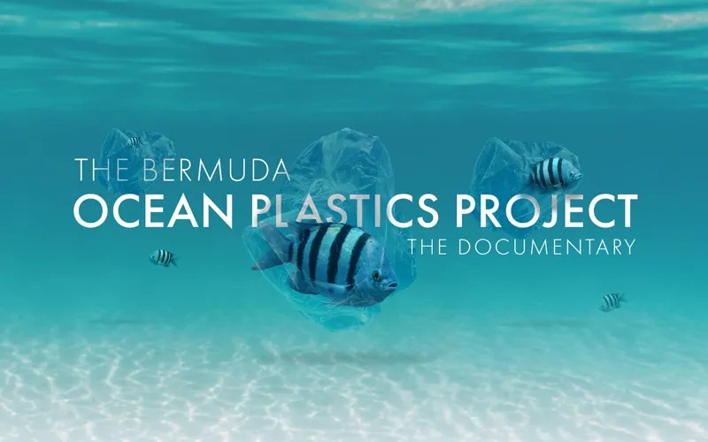 2023 in Review Achievements, and Future Endeavours SJD World Ltd