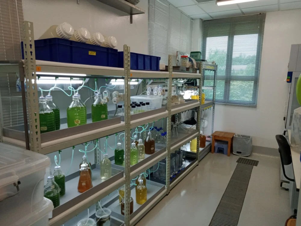 Labs St John's Island National Marine Laboratory