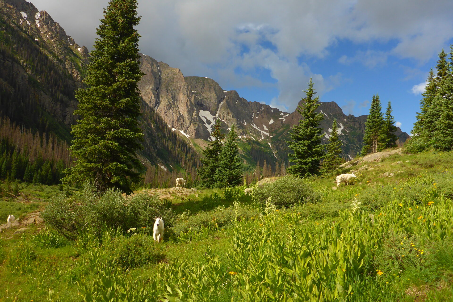 Visiting Chicago Basin Chicago Basin Trip Planning and Resources