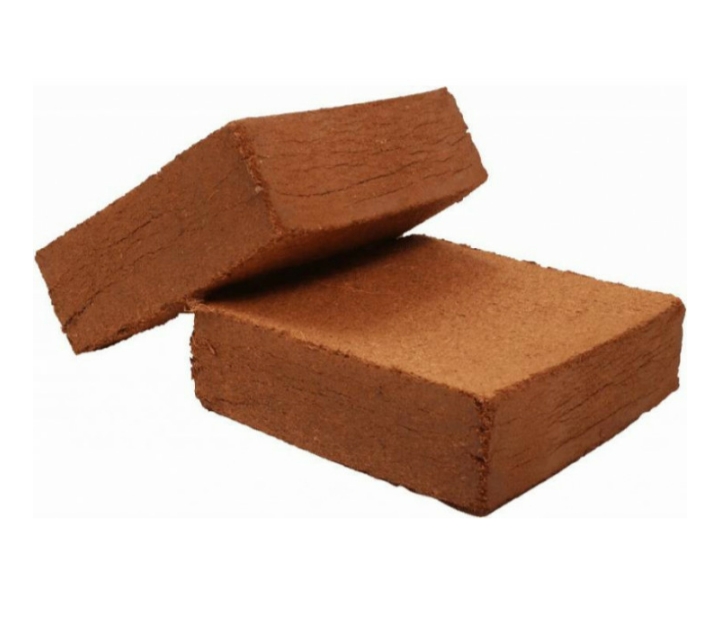 Coco peat 5 kg Shop your Seeds