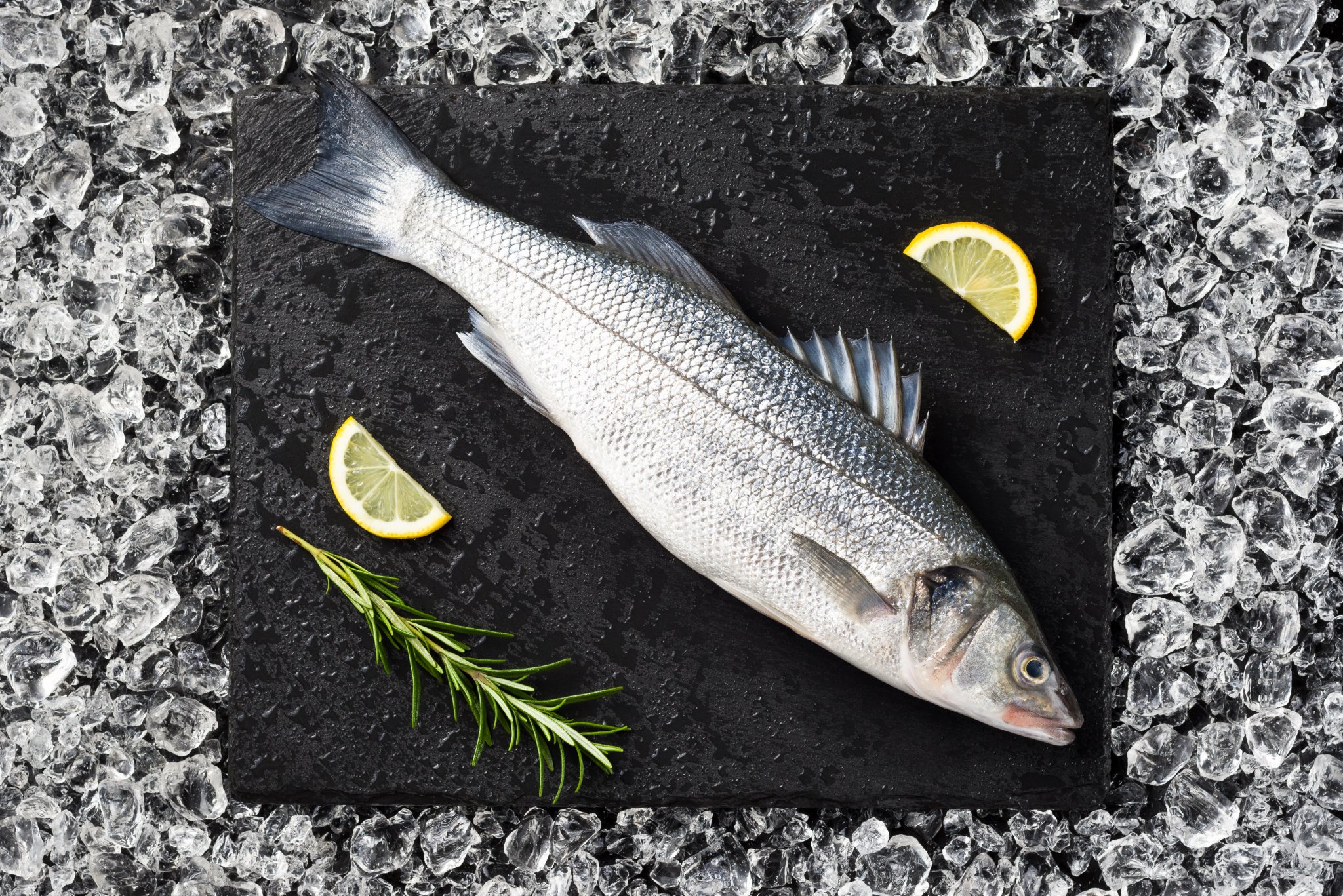 Whole Sea Bass SJ Shellfish