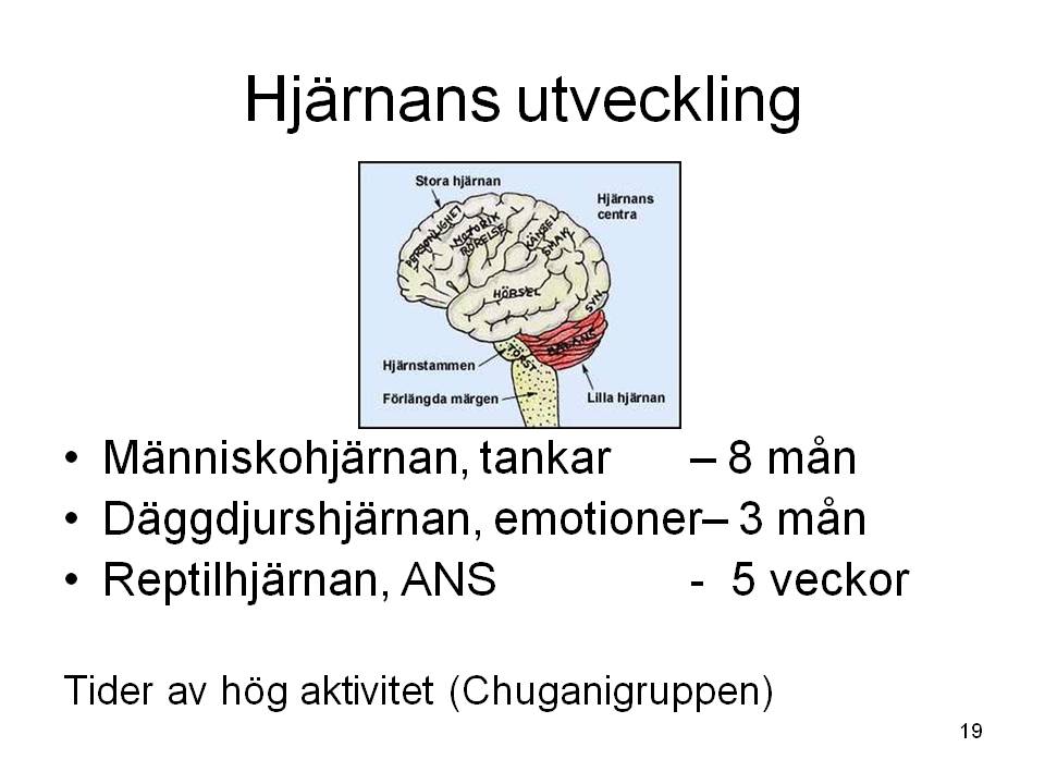 Anknytning, känsloutveckling och förskola i småbarnsåren Sjunne [ dot