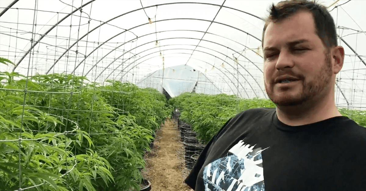 Fraud and the FBI Lemoore cannabis dispensary owner faces multifront