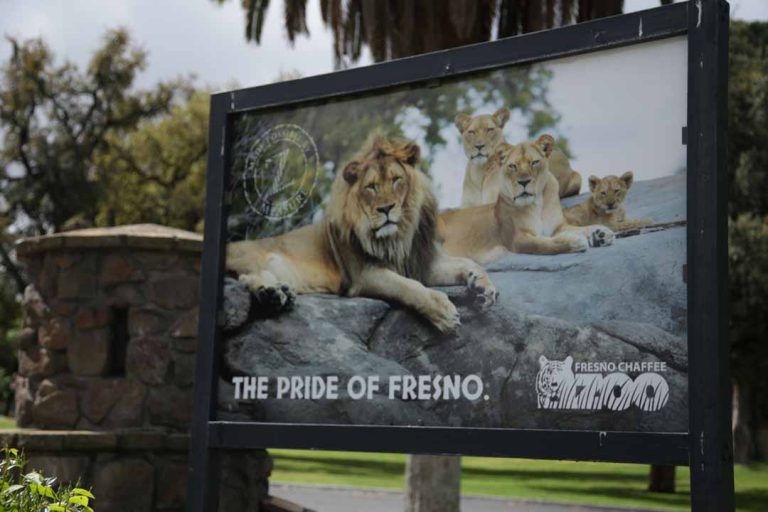 Fresno's Zoo is planning an aquarium. Here's an early peek at the plans.